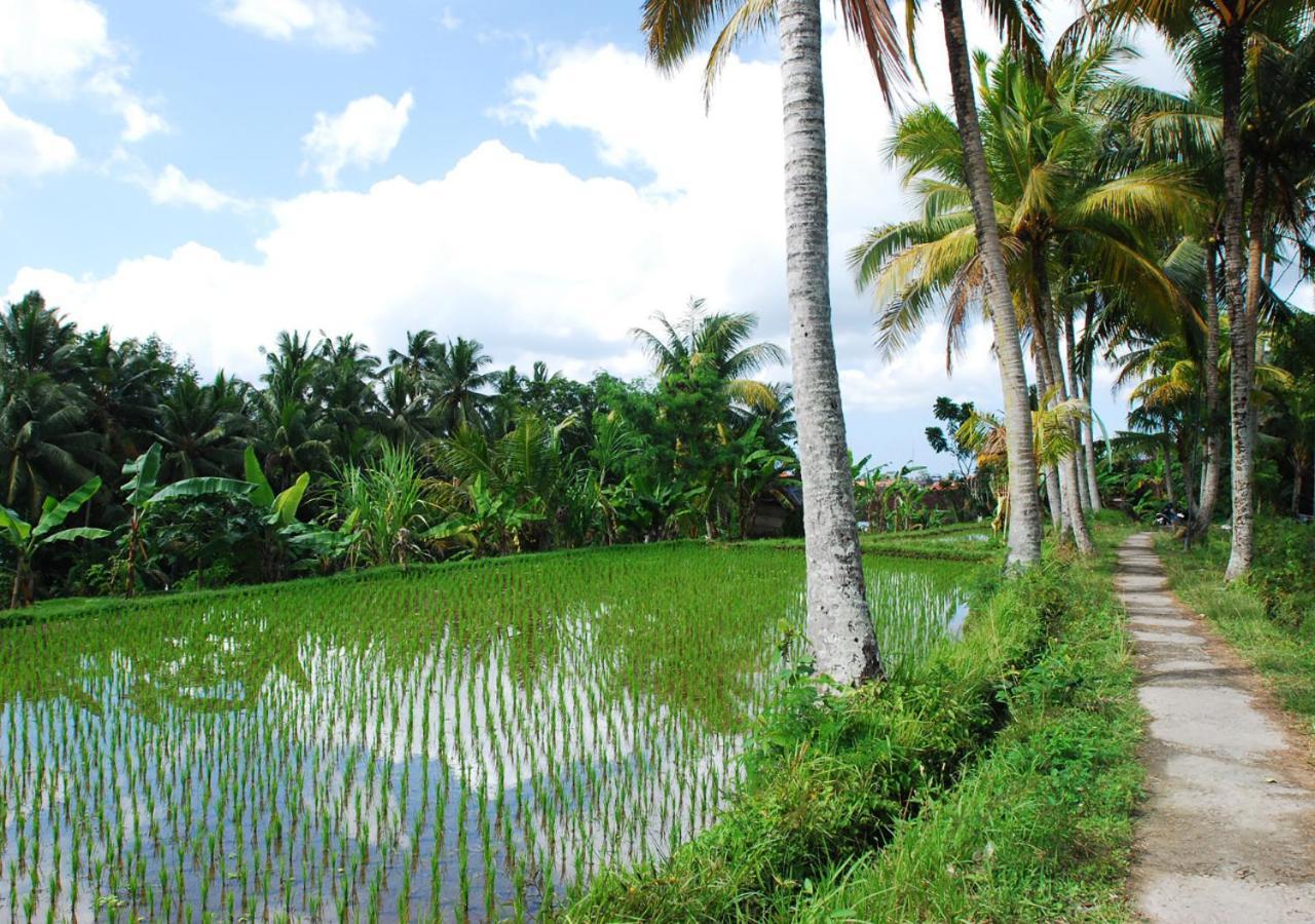 Capung Asri Eco Luxury Resort With Private Pool Villas Bedulu Exteriör bild